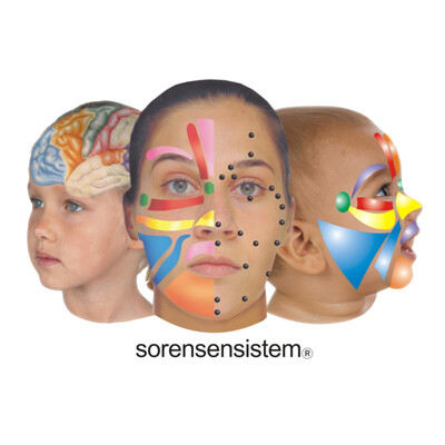 Sorensensistem Logo