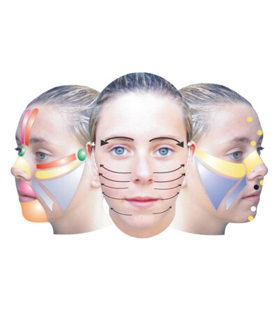 Japanese Cosmo Face Lifting Logo